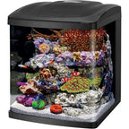 BioCube, Aquarium Kit, Nano Tank, LED Lighting, or Saltwater and freshwater