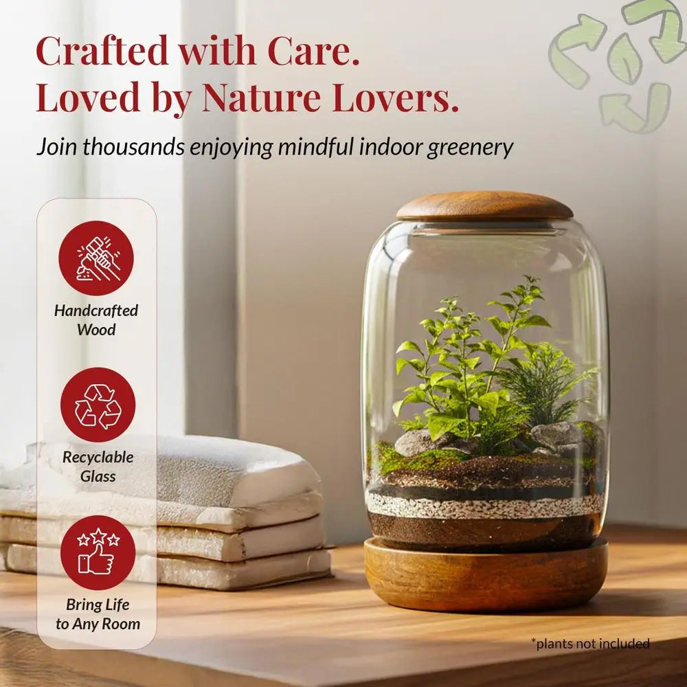 Exclusive Glass Terrarium, Natural Wood lid and Base. Excellent for Plants and Decoration
