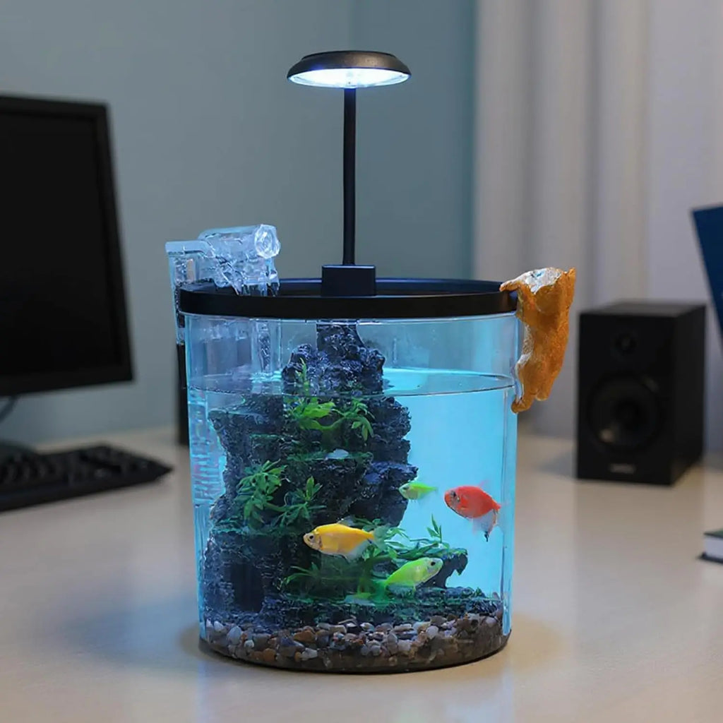 1.5 Gallon Fish Tank Quiet Filter LED Light Oxygen Generator Acrylic HD View
