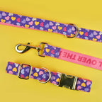 Luxury Colorful Season Adjustable Dog Collar And Leash Set For Small Medium Large Dogs