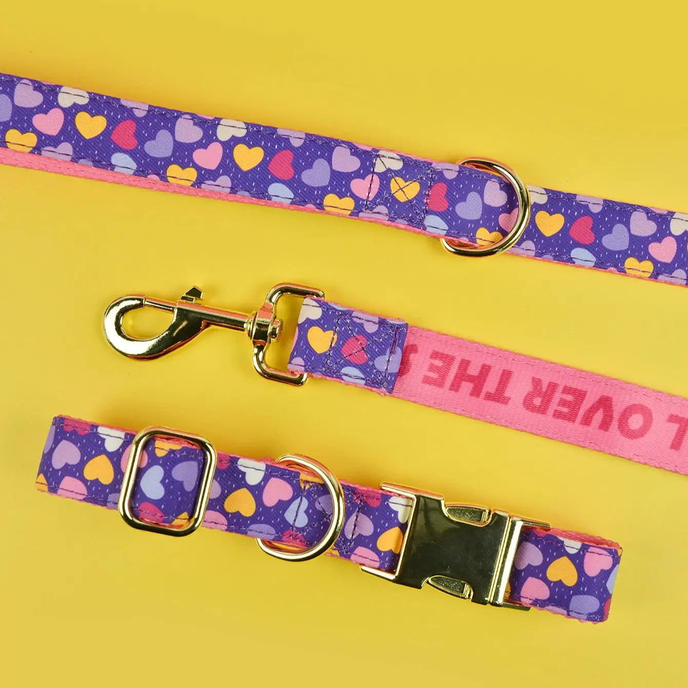 Luxury Colorful Season Adjustable Dog Collar And Leash Set For Small Medium Large Dogs