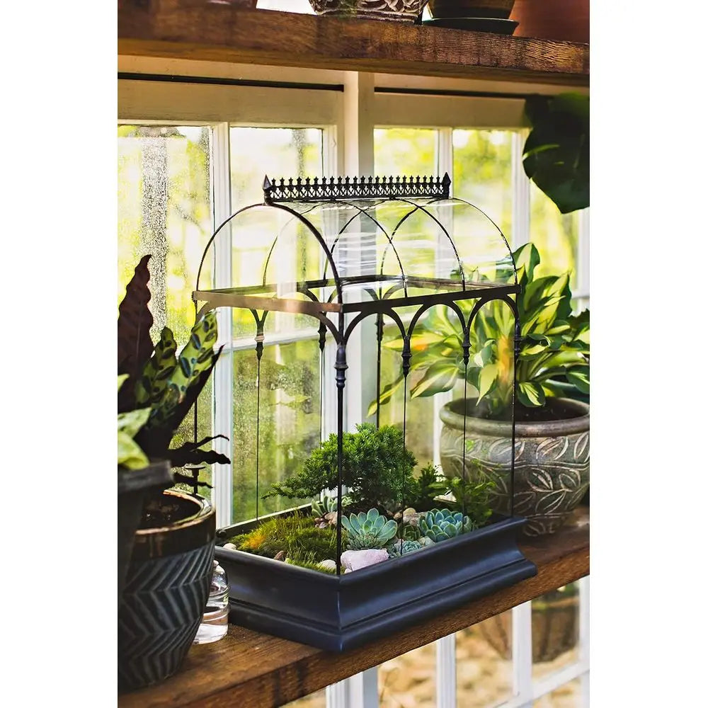 Large Glass Terrarium for Succulents and Plants - Case