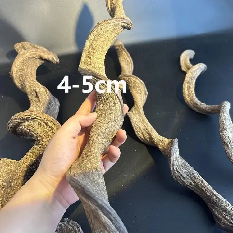Climbing Pet Climbing Wood Landscaping Tree Vine Natural Dead Wood Reptile Tank