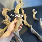 Climbing Pet Climbing Wood Landscaping Tree Vine Natural Dead Wood Reptile Tank
