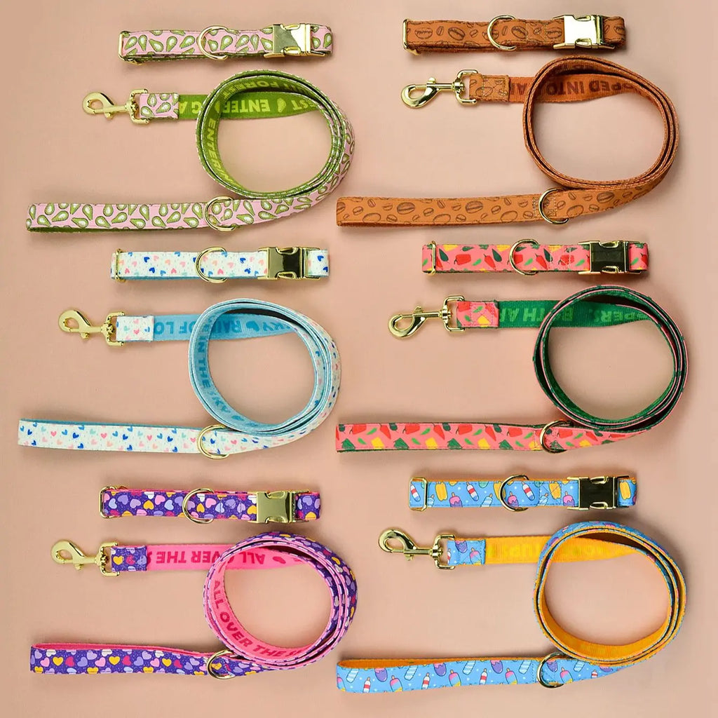 Luxury Colorful Season Adjustable Dog Collar And Leash Set For Small Medium Large Dogs
