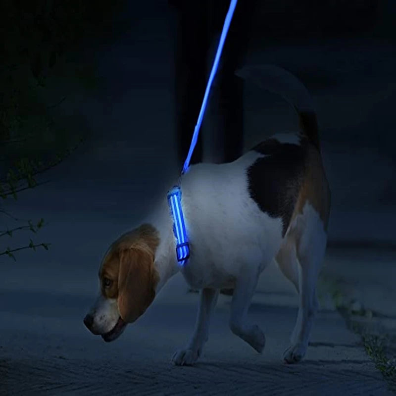 3 Modes Dog Luminous Charge Glow Collar Led Usb