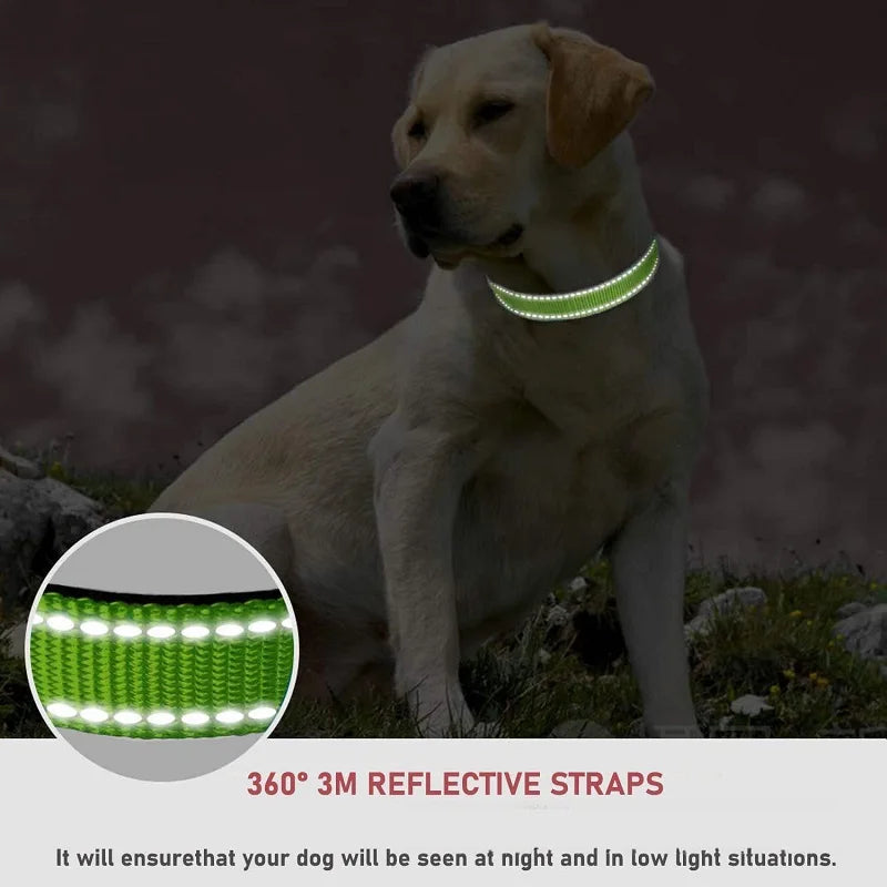 Small Dog Collar Puppy Neck Collars for Dogs Big Decorative
