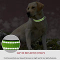 Small Dog Collar Puppy Neck Collars for Dogs Big Decorative