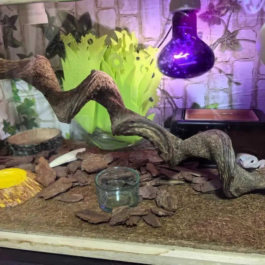 Climbing Pet Climbing Wood Landscaping Tree Vine Natural Dead Wood Reptile Tank