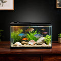 Complete 13-Gallon Aquarium Kit – Fish Tank with LED Light & Lid