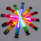 3 Modes Dog Luminous Charge Glow Collar Led Usb