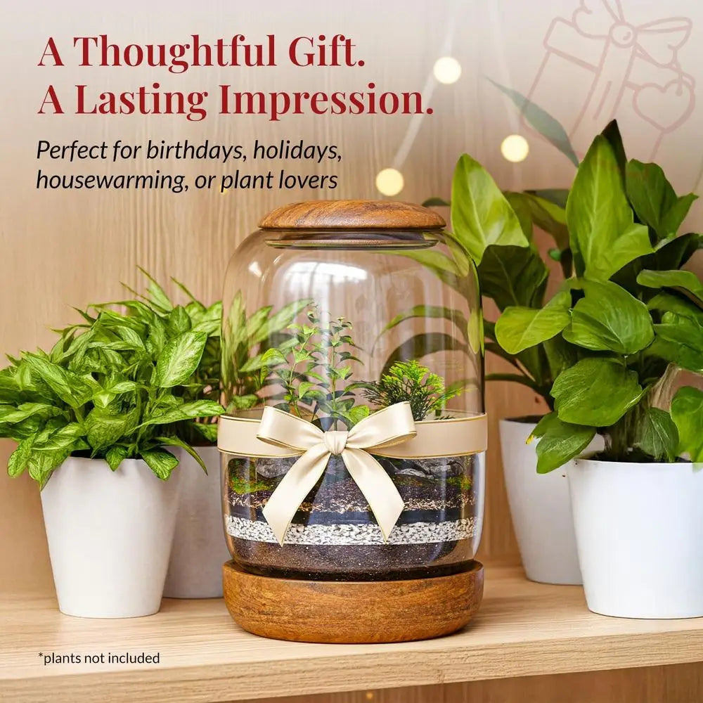 Exclusive Glass Terrarium, Natural Wood lid and Base. Excellent for Plants and Decoration