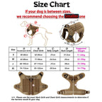 Dog Harness Collar Leash Training Walking Vest Dog Harnesses For Medium Dogs