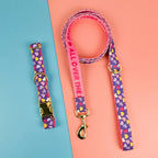 Luxury Colorful Season Adjustable Dog Collar And Leash Set For Small Medium Large Dogs