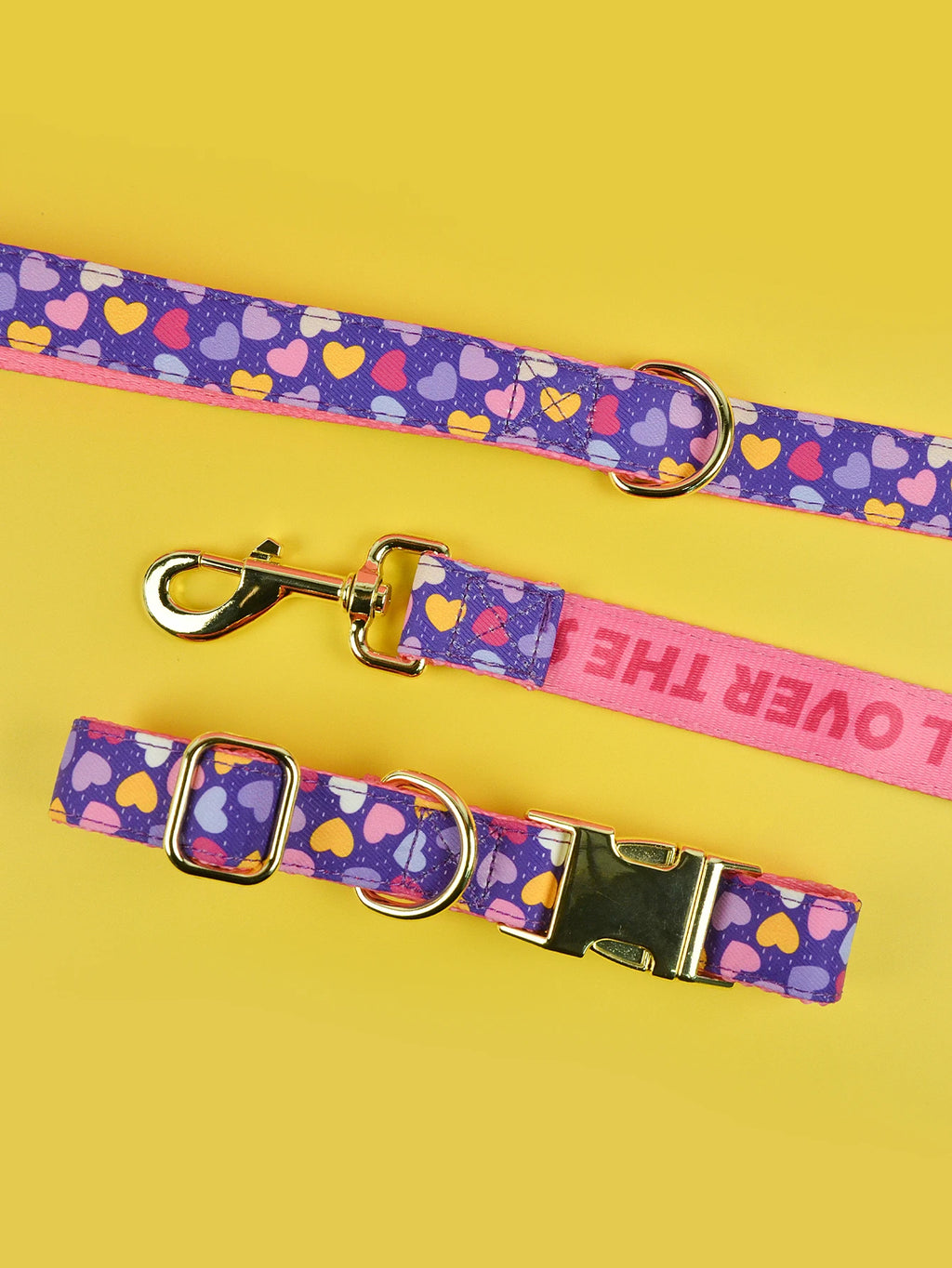 Luxury Colorful Season Adjustable Dog Collar And Leash Set For Small Medium Large Dogs
