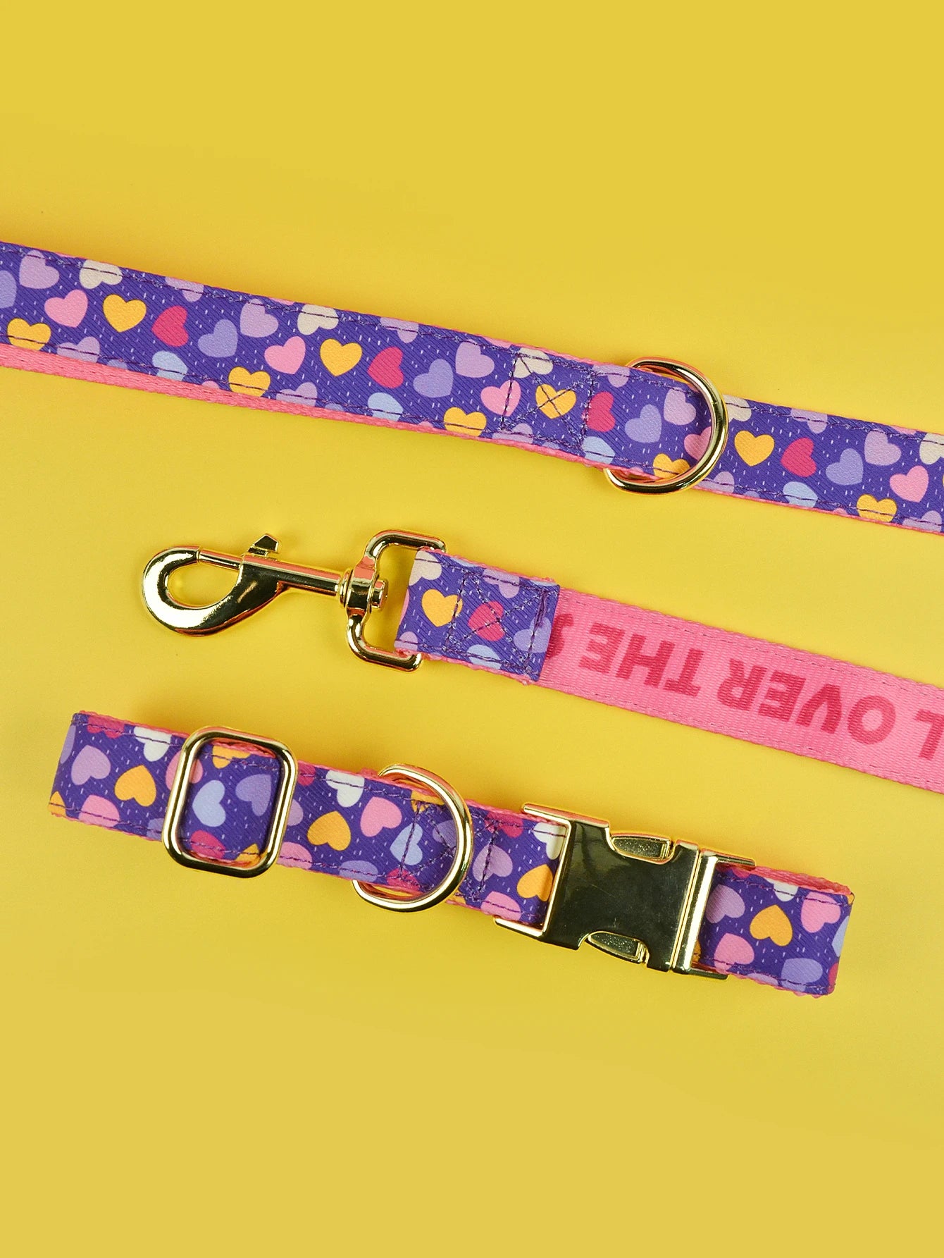 Luxury Colorful Season Adjustable Dog Collar And Leash Set For Small Medium Large Dogs