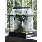 Large Glass Terrarium for Succulents and Plants - Case