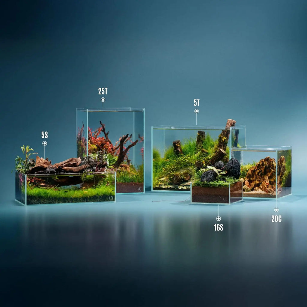 Clear Low Iron Glass Rimless Aquarium - 2 Gallon Shallow Tank with 45° Edges, Leveling Mat Included