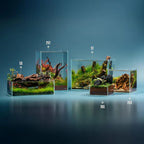 Clear Low Iron Glass Rimless Aquarium - 2 Gallon Shallow Tank with 45° Edges, Leveling Mat Included